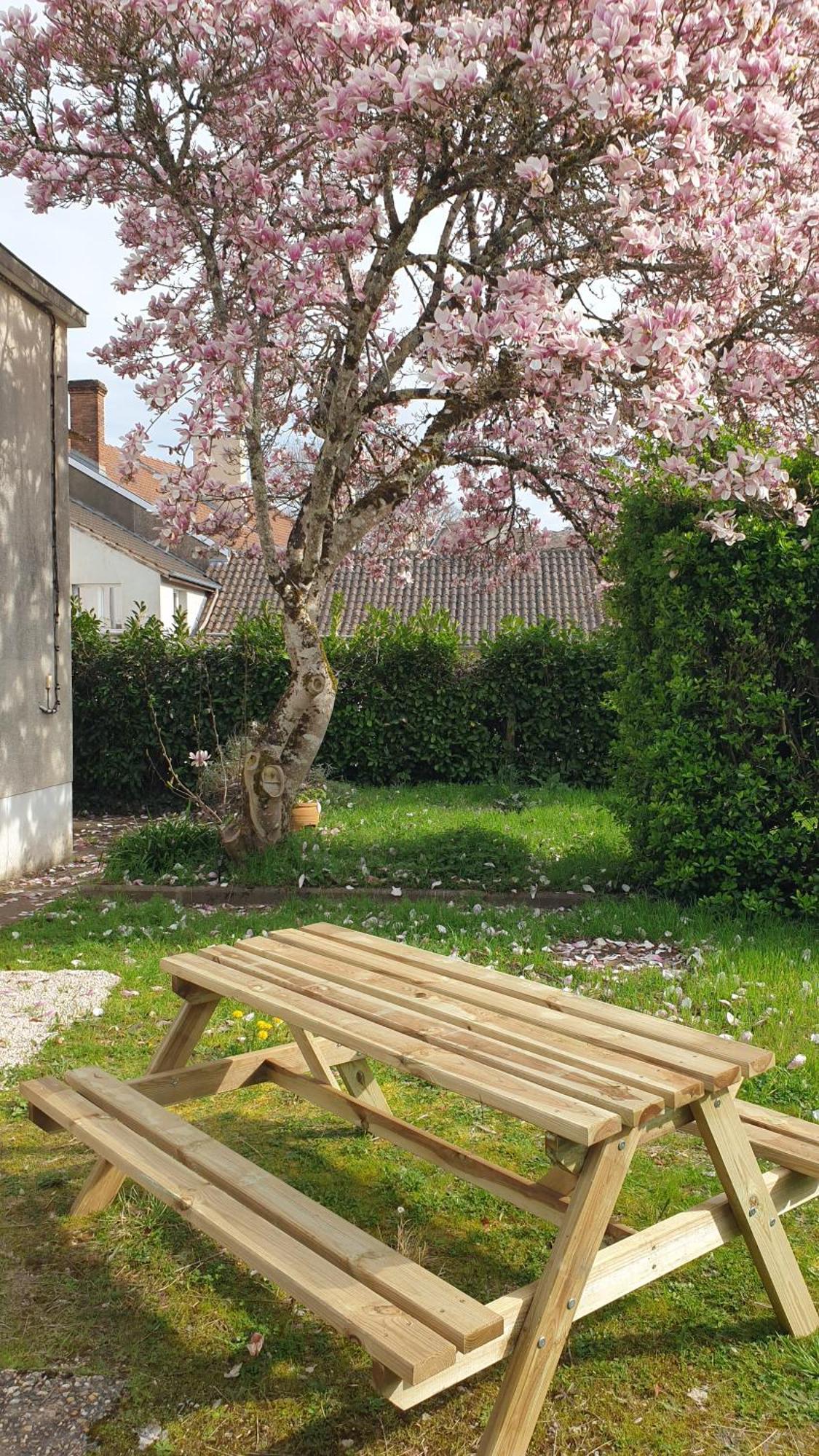 La Maison Barent - Proche Des Grottes De Rouffignac エクステリア 写真